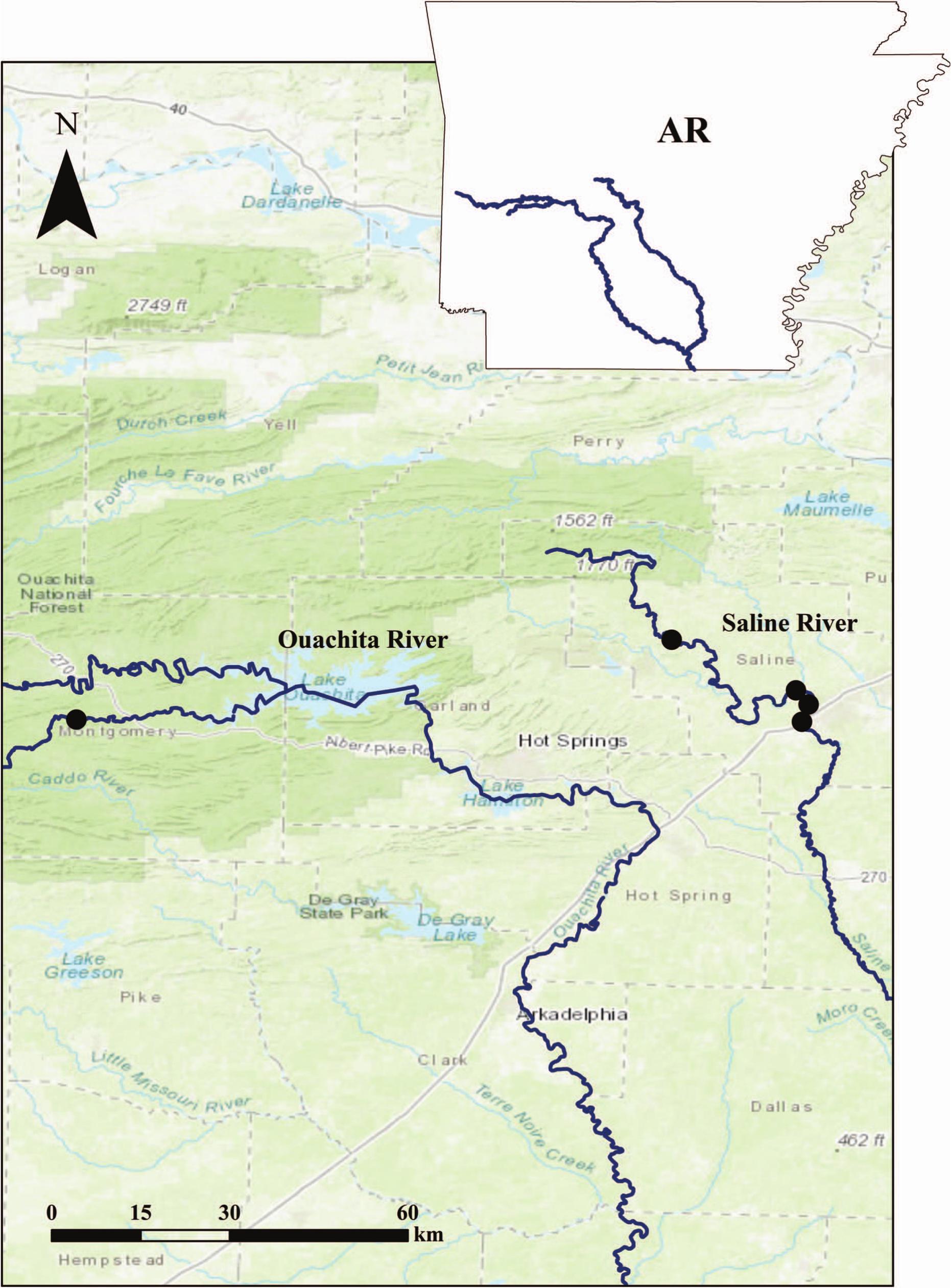 Genetic Diversity in the Threatened Freshwater Mussel Lampsilis powellii