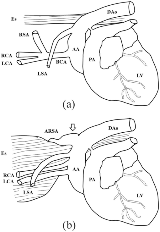 10.1177_2055116918764589-fig5.tif