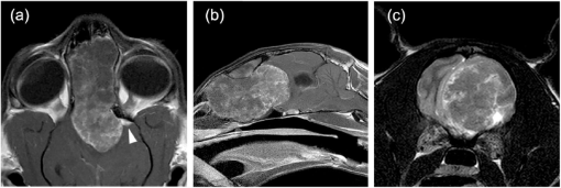 10.1177_2055116919833732-fig2.tif