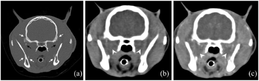 10.1177_2055116919839857-fig2.tif