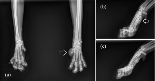 10.1177_2055116919842394-fig1.tif