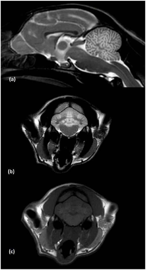 10.1177_2055116919853898-fig1.tif