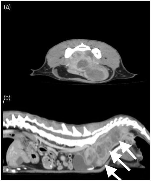 10.1177_2055116919867178-fig2.tif