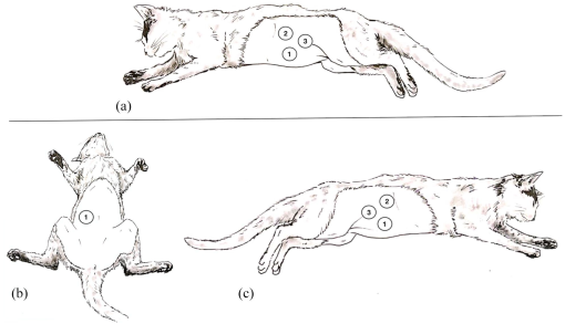 10.1177_20551169221081416-fig2.tif