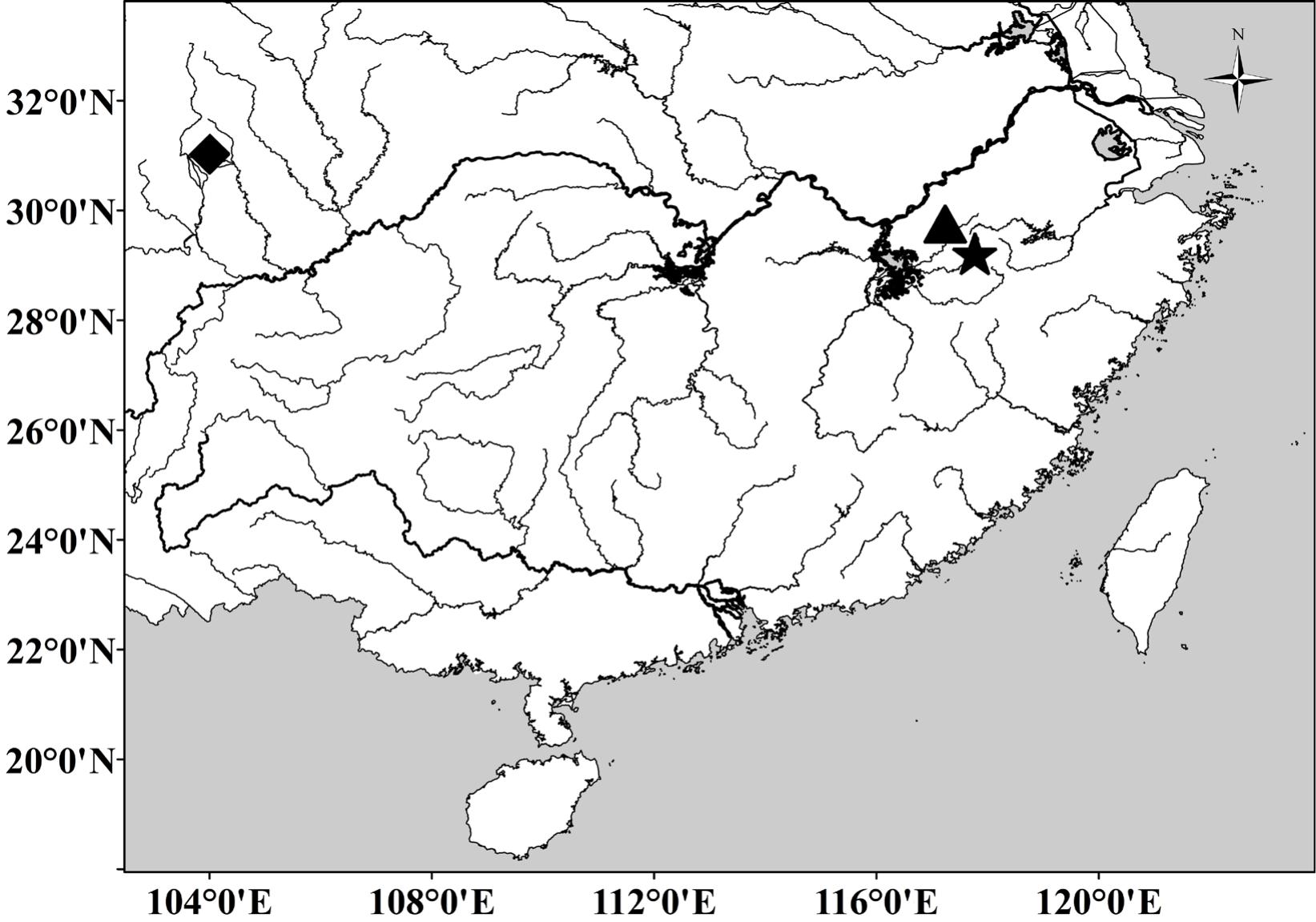 Two new species of Rhodeus (Teleostei: Cyprinidae: Acheilognathinae ...