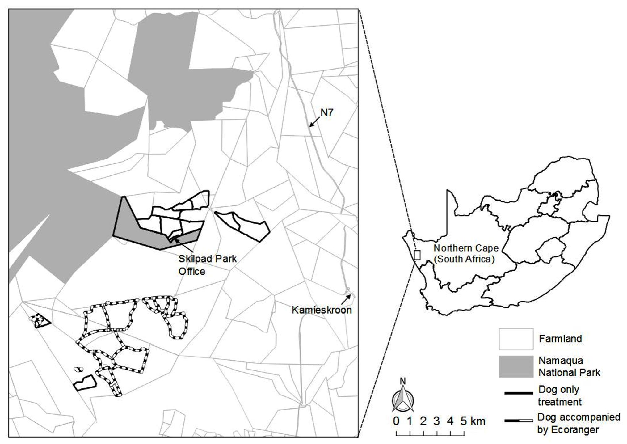 Investigating The Hidden Costs Of Livestock Guarding Dogs A Case Study In Namaqualand South Africa