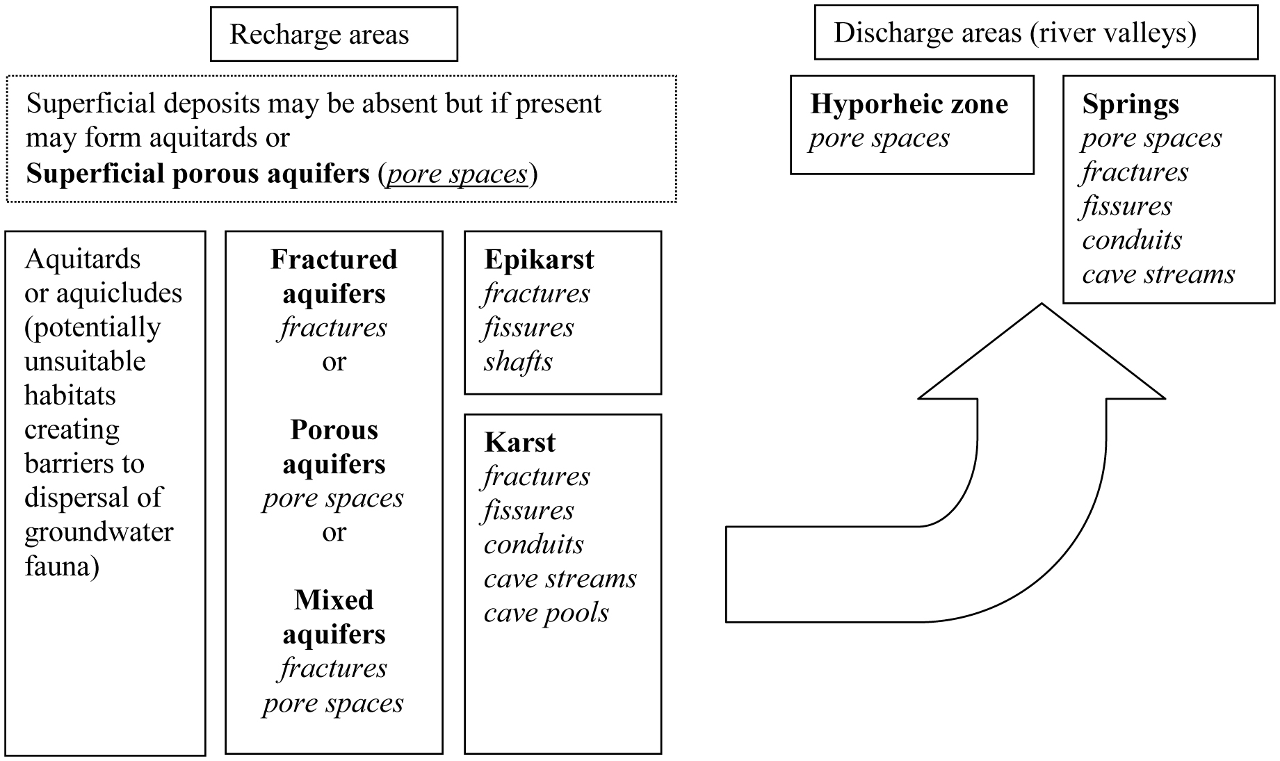 Stygobitic Invertebrates in Groundwater — A Review from a ...