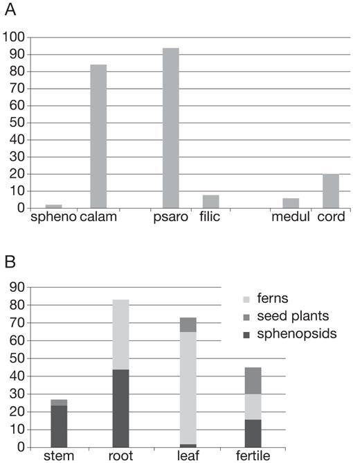 Early Permian Silicified Floras From The Perdasdefogu Basin Se