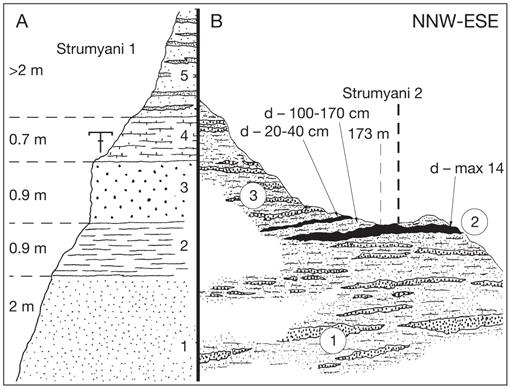 Upper Miocene mammals from Strumyani 