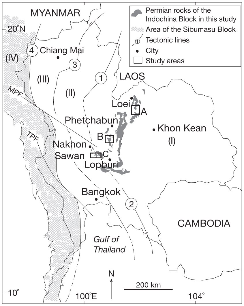 Ostracods Crustacea Of The Early Middle Permian From Central Thailand Indochina Block Part I Order Palaeocopida