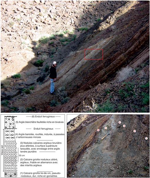 Évolution lithostratigraphique, paléoenvironnementale et paléogéographique  du flysch de Ben-Zireg (Viséen inférieur, Algérie)