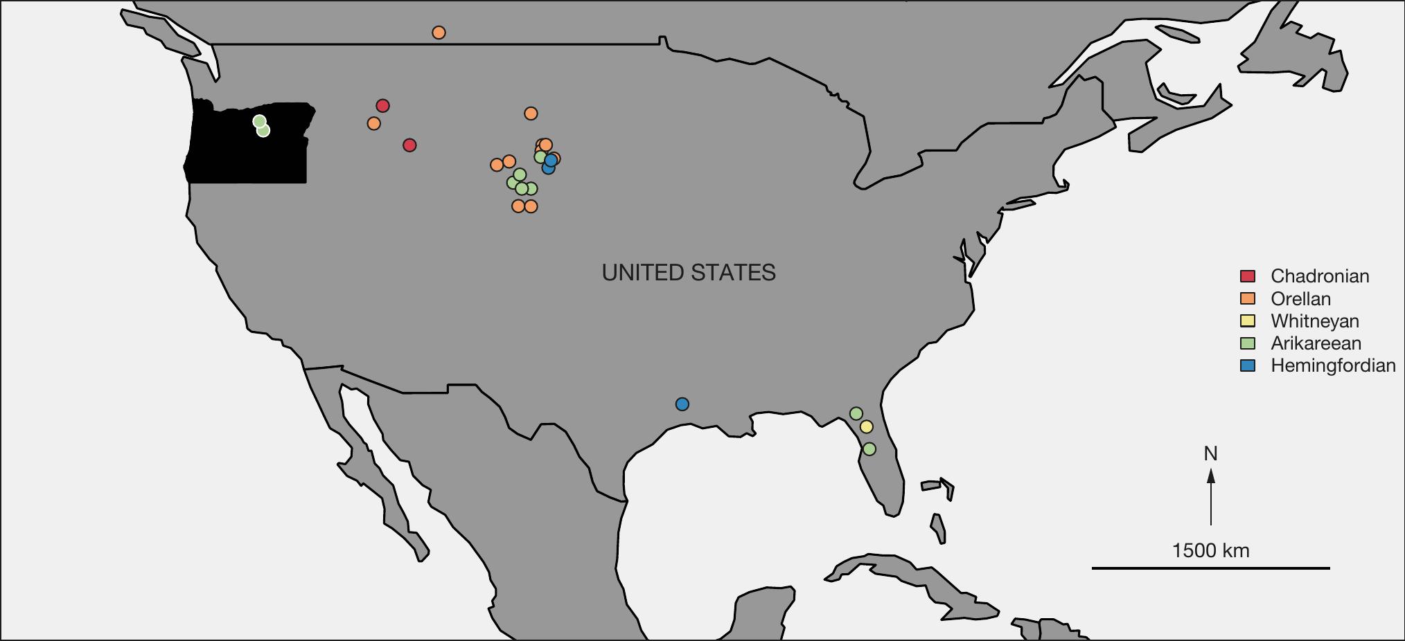 First occurrences of Palaeogale von Meyer, 1846 in the Pacific ...