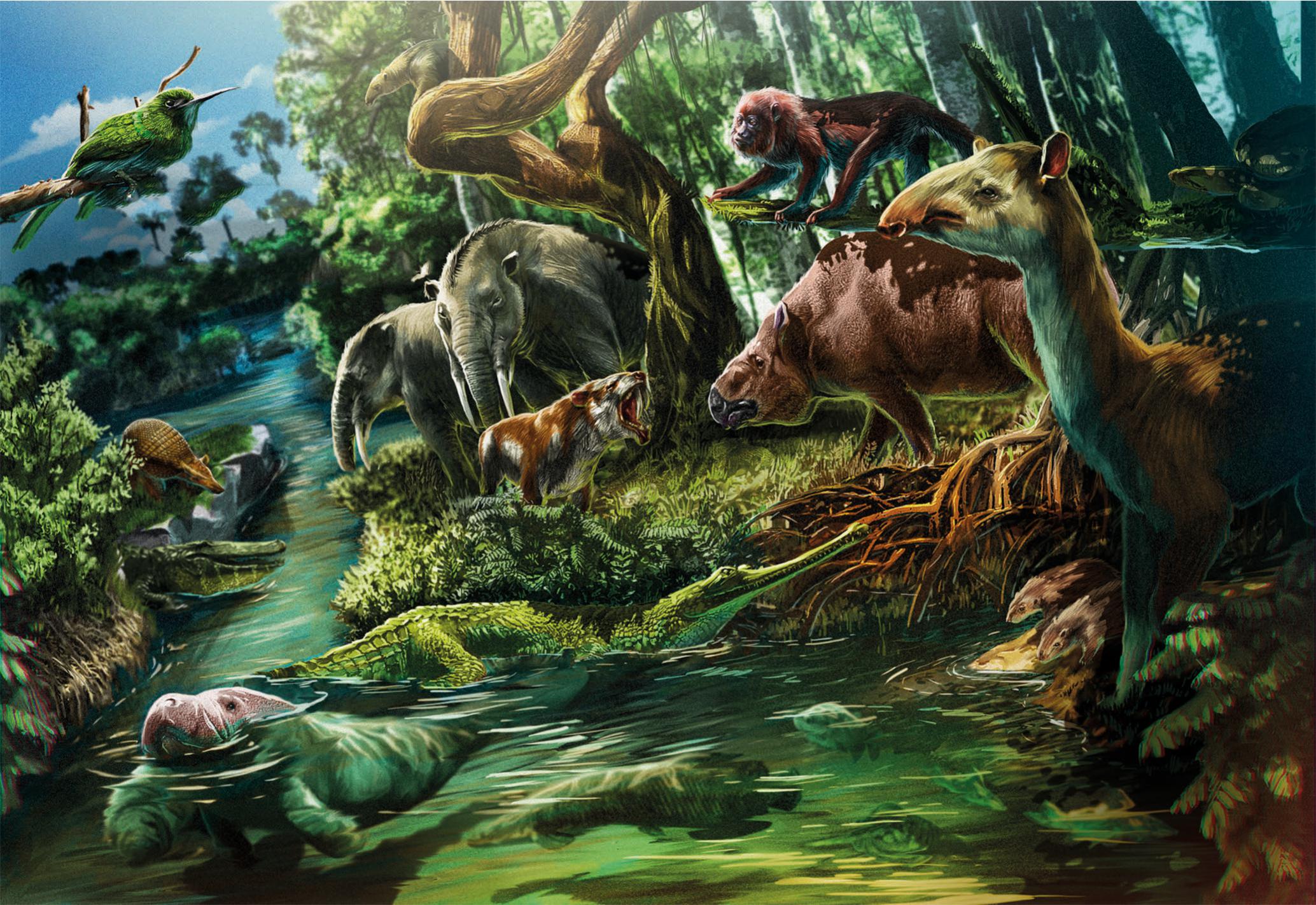 The Miocene La Venta Biome (Colombia): A century of research and future  perspectives