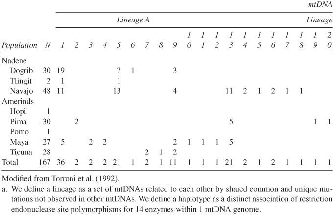 American Indian Prehistory as Written in the Mitochondrial DNA: A Review