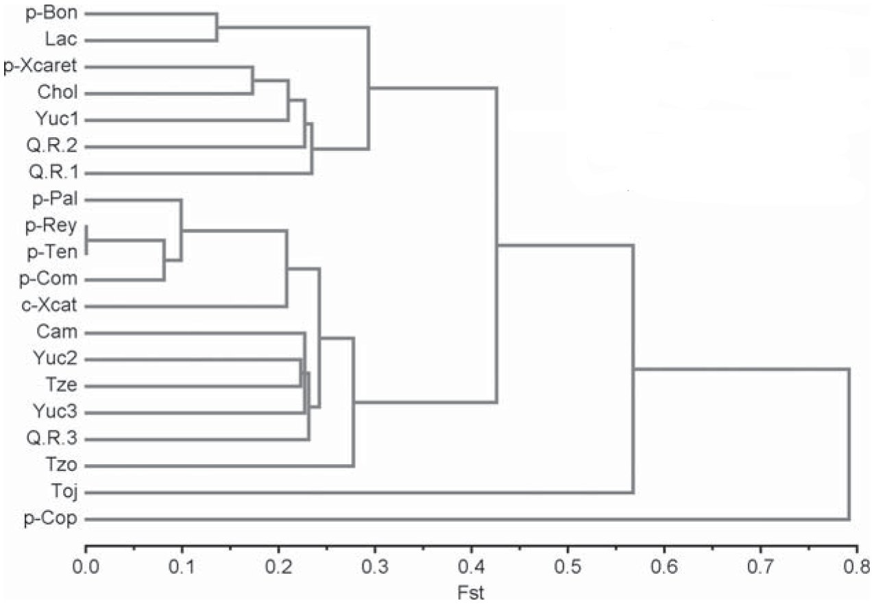 Genetic Overview of the Maya Populations: Mitochondrial DNA Haplogroups