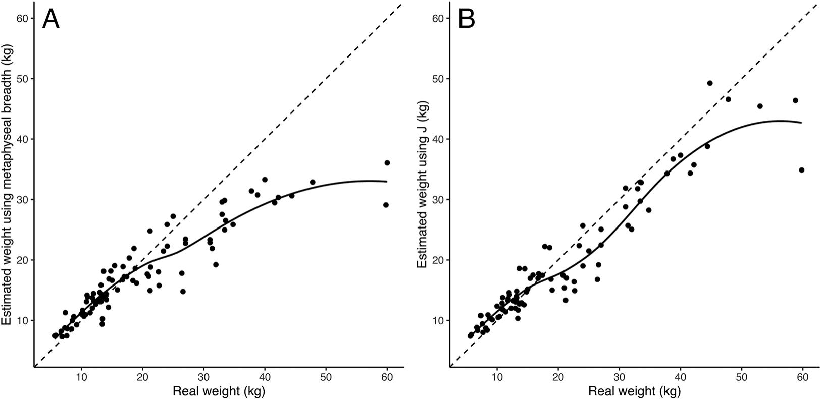 Late subadult ontogeny and adult aging of the human thorax reveals  divergent growth trajectories between sexes