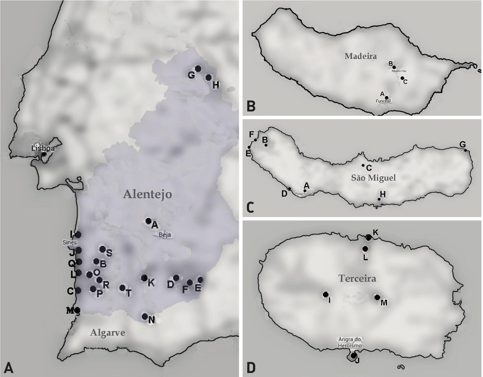 Lichen Diversity Of Crustose Caliciaceae And Physciaceae From Alentejo The Azores And Madeira Portugal Including The New Amandinea Madeirensis