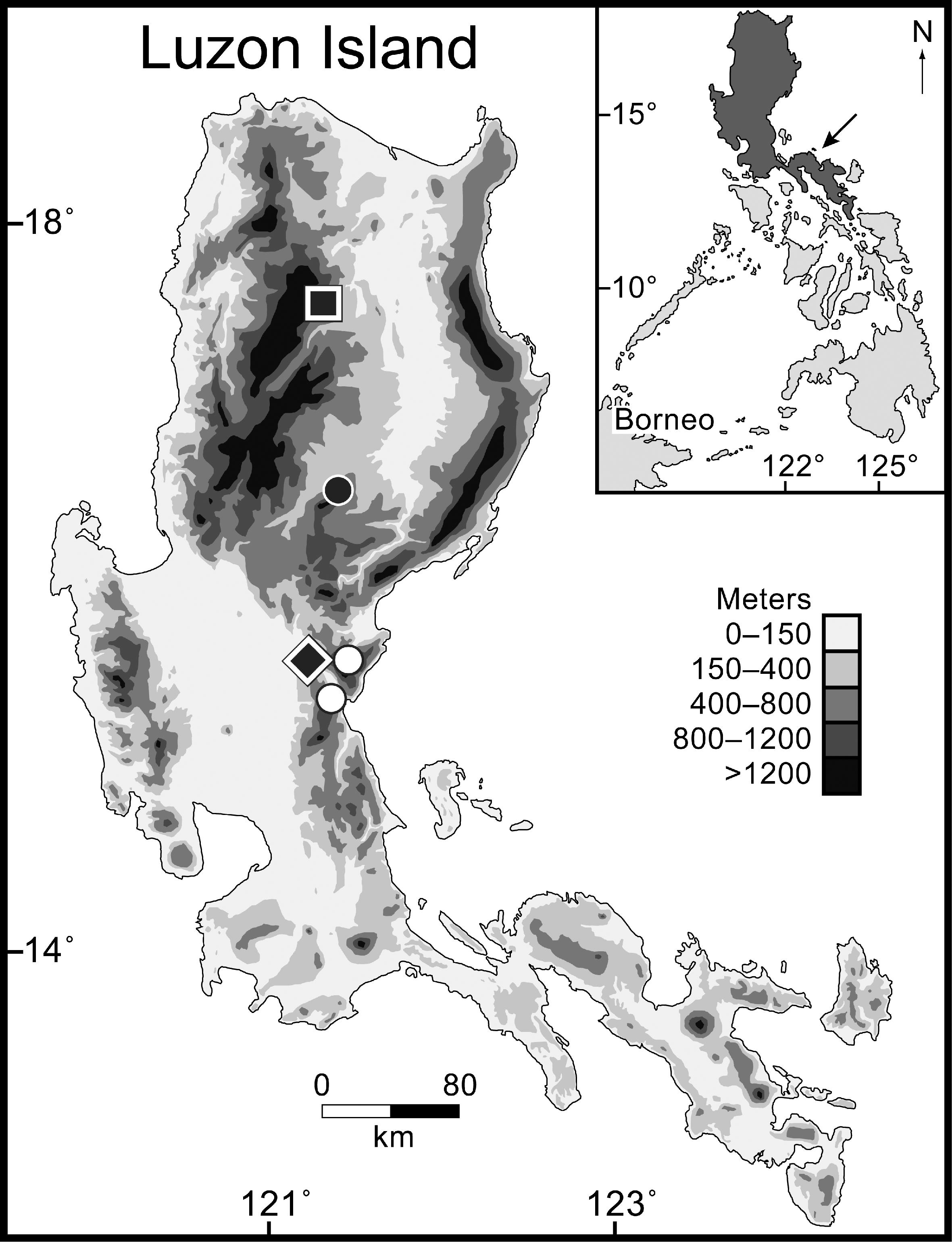 A New Species of Stream Frog (Sanguirana) from the Mountains of Luzon ...