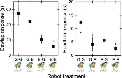 Responses Of Anolis Grahami Males To Manipulations Of Species Identity And Components Of Displays In Lizard Robots