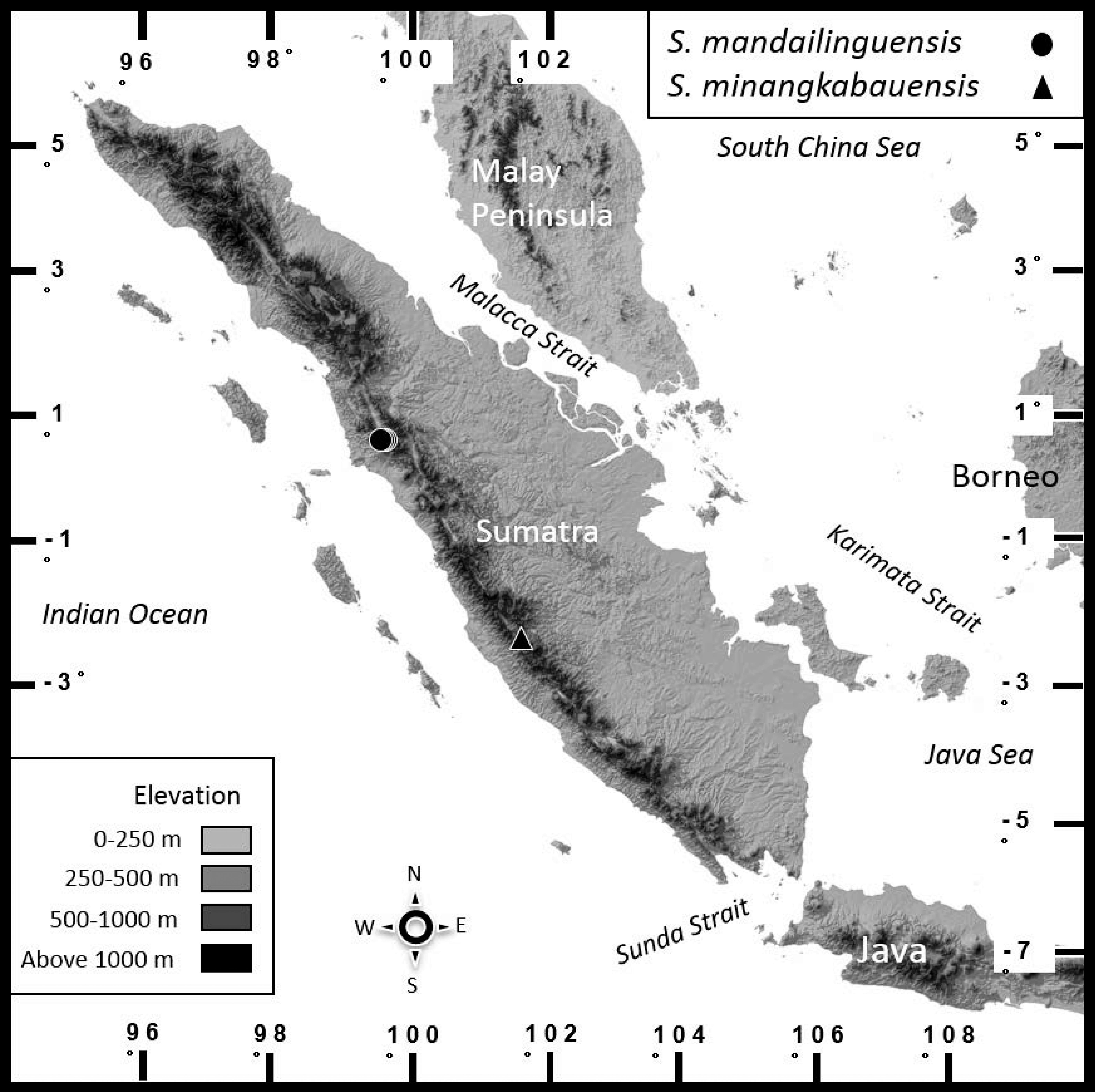 A New Genus And Two New Species Of Arboreal Toads From The Highlands Of Sumatra With A Phylogeny Of Sundaland Toad Genera