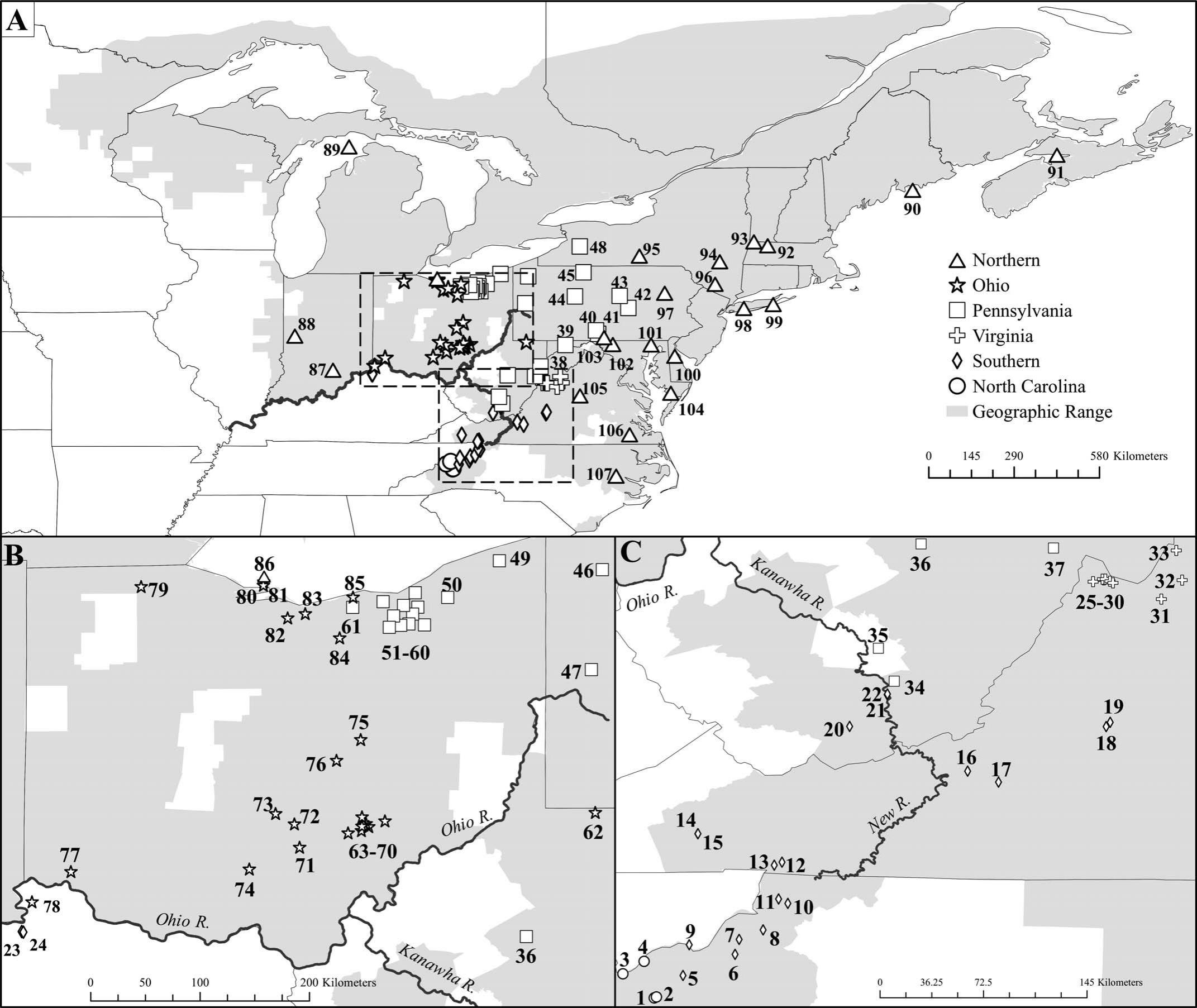 Multilocus Phylogeography of Eastern Red-Backed Salamanders (Plethodon ...