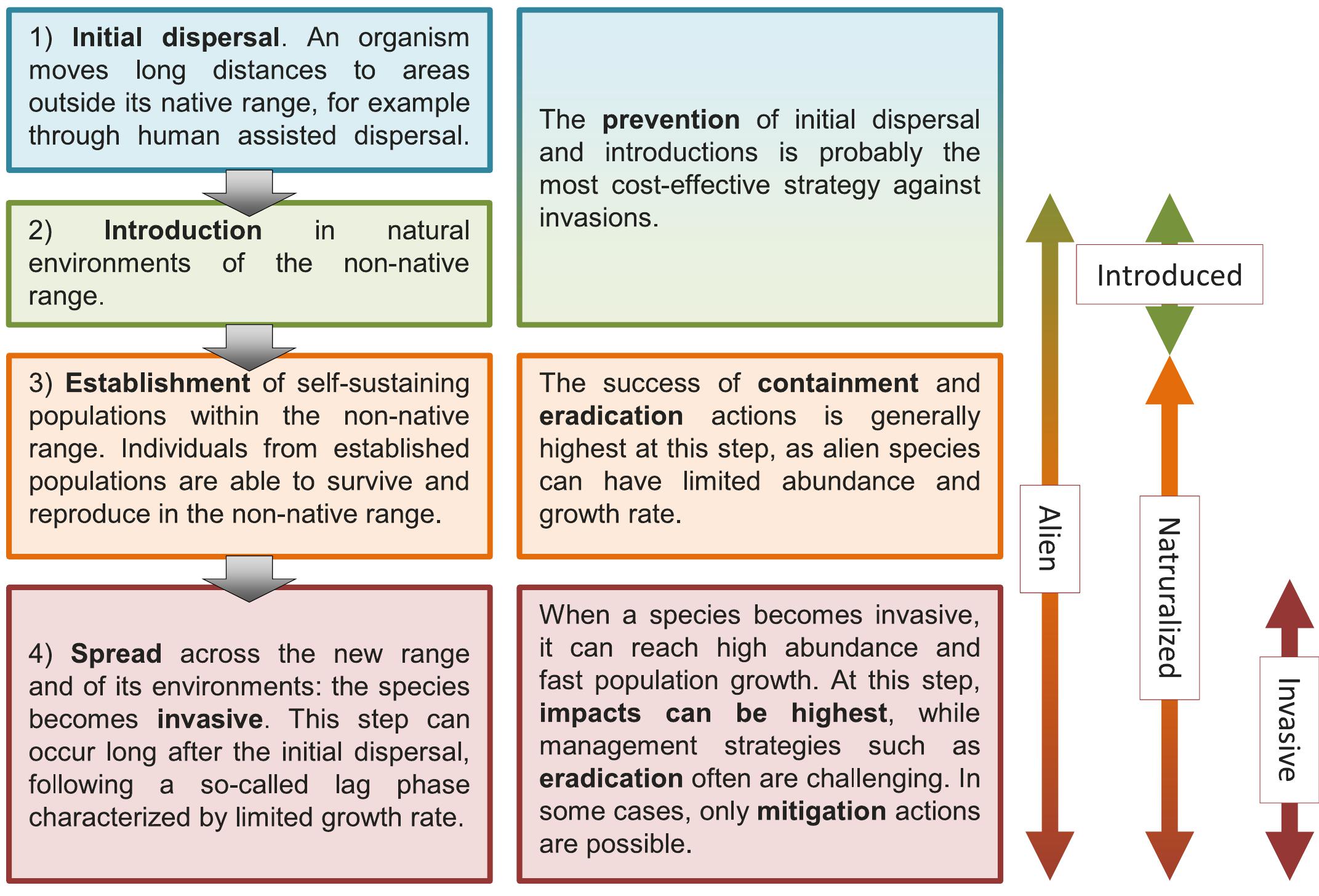 Invasive Species Graphic Organizer - Samantha Sihakoun A.P. Environmental  Science