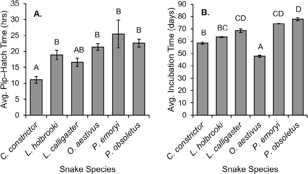 Southeastern US Snake Species are Vulnerable to Egg Predation by Red ...