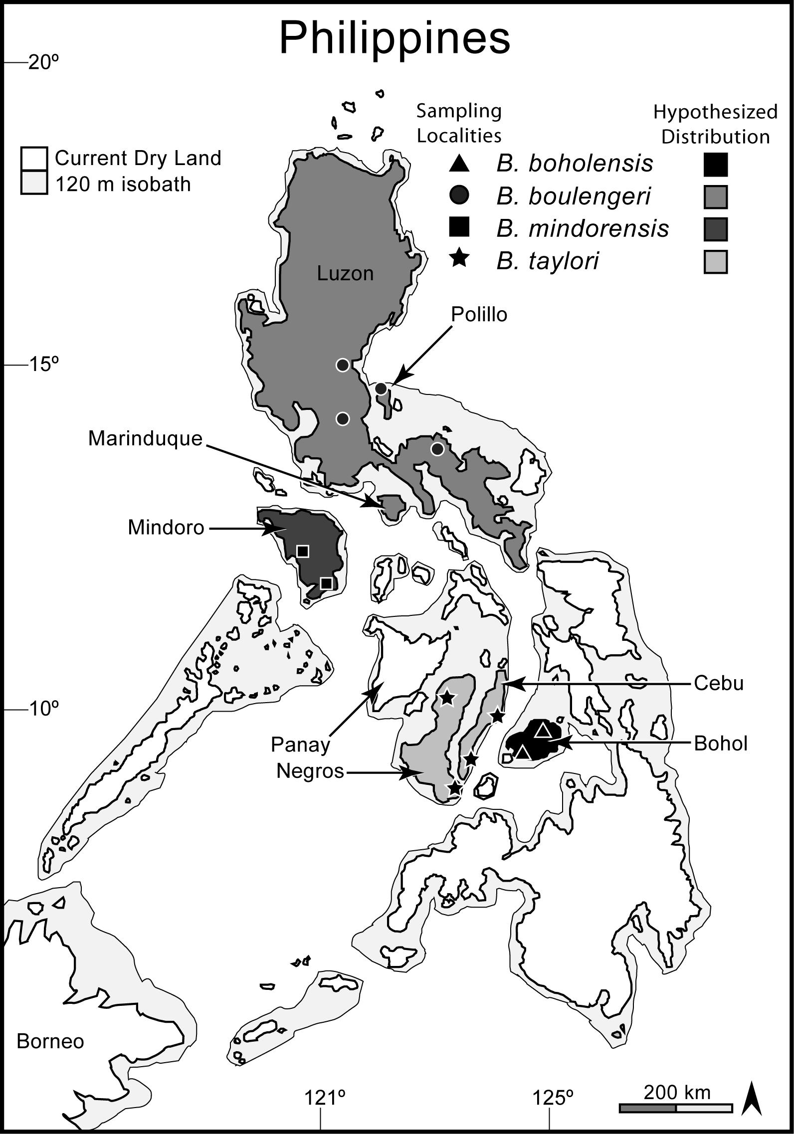 Phylogeny-based Species Delimitation in Philippine Slender Skinks ...