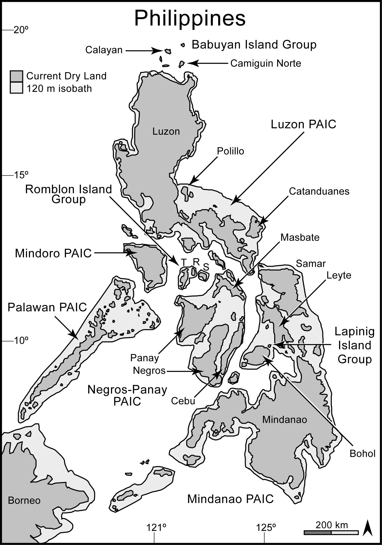 Phylogeny-Based Species Delimitation in Philippine Slender Skinks ...