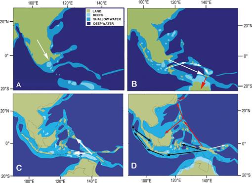 Paleoclimatology, Paleogeography, And The Evolution And Distribution Of ...