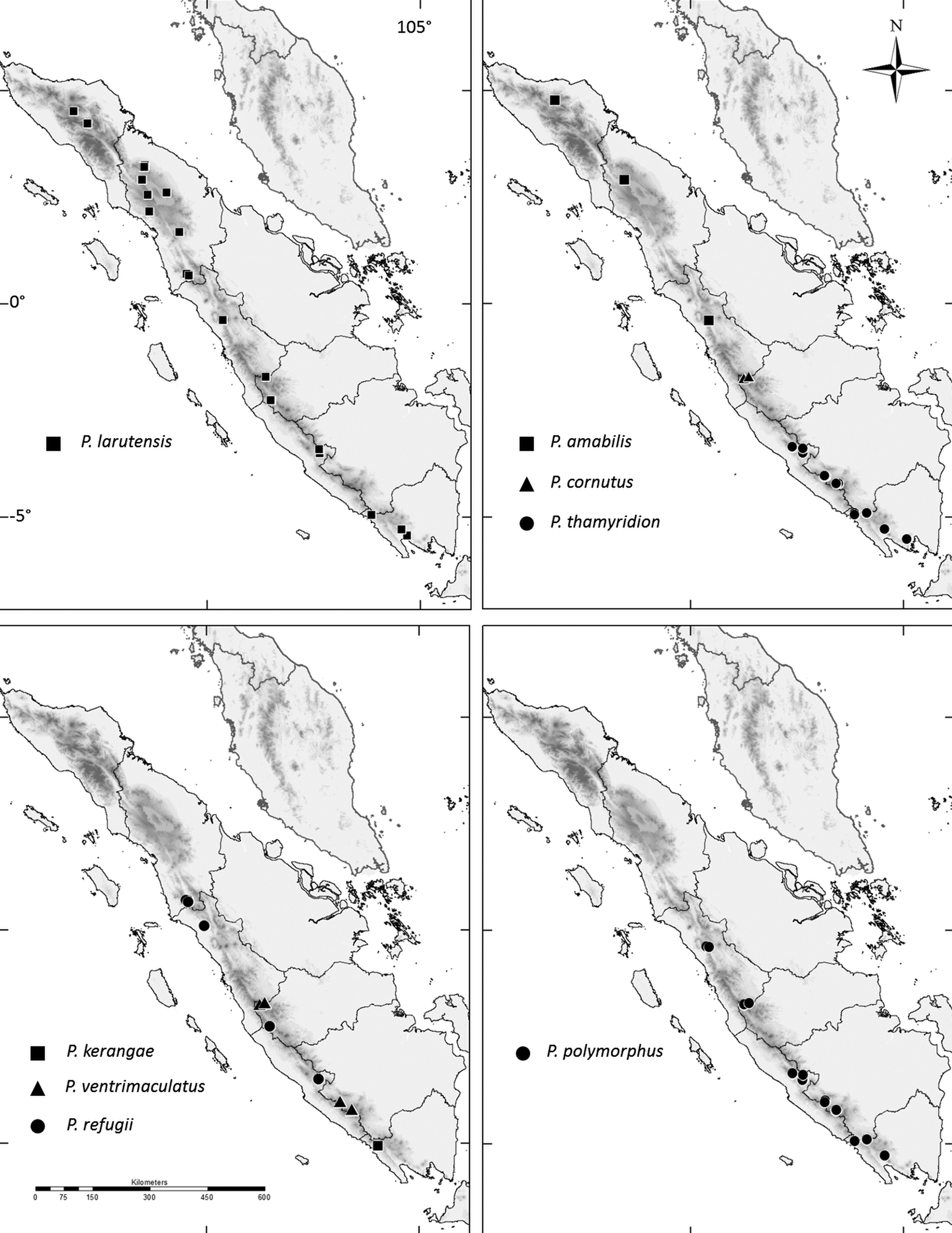 A Taxonomic Revision Of The Philautus Anura Rhacophoridae Of Sumatra With The Description Of Four New Species