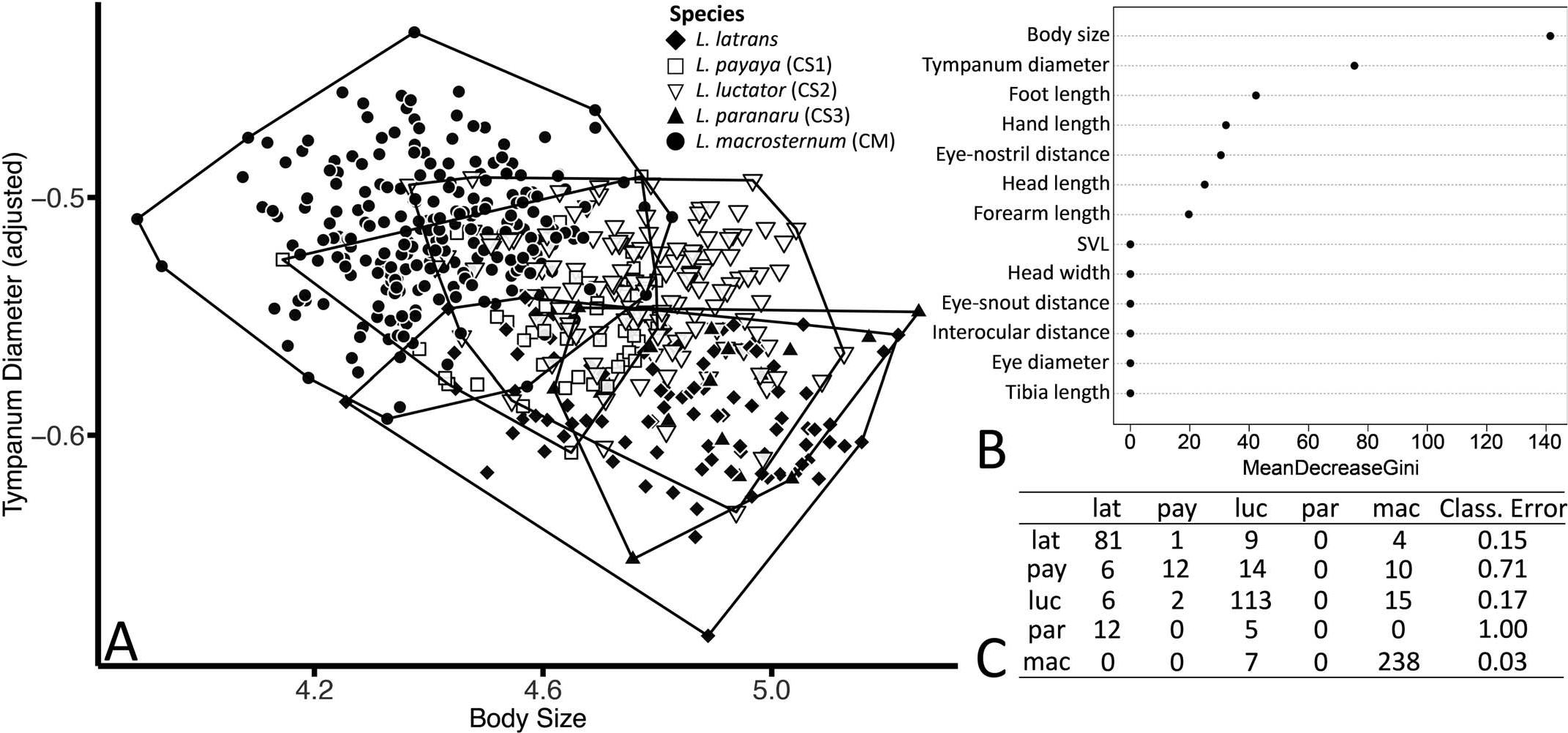 Taxonomic Review Of South American Butter Frogs Phylogeny Geographic Patterns And Species Delimitation In The Leptodactylus Latrans Species Group Anura Leptodactylidae