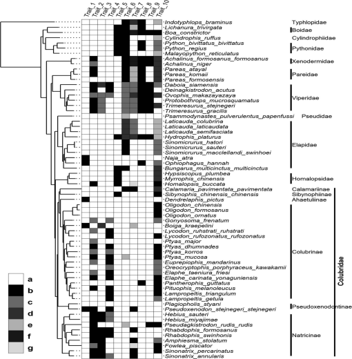 Wear Resistance Improvement of Keeled Structure and Overlapped Distribution  of Snake Scales