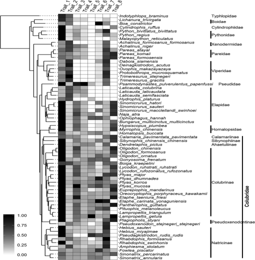 Wear Resistance Improvement of Keeled Structure and Overlapped Distribution  of Snake Scales