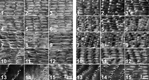 https://bioone.org/ContentImages/Journals/hmon/34/1/0733-1347-31.4.178/graphic/WebImages/img-z8-1_178.jpg