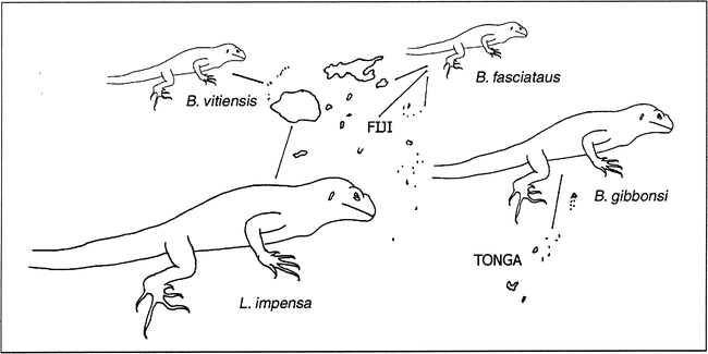 South Pacific Iguanas: Human Impacts and a New Species