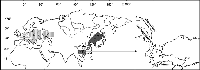 Phylogenetic And Systematic Study Of The Genus Bombina Amphibia Anura Bombinatoridae New Insights From Molecular Data