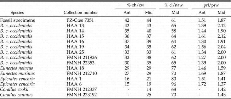 boa constrictor imperator feeding size chart