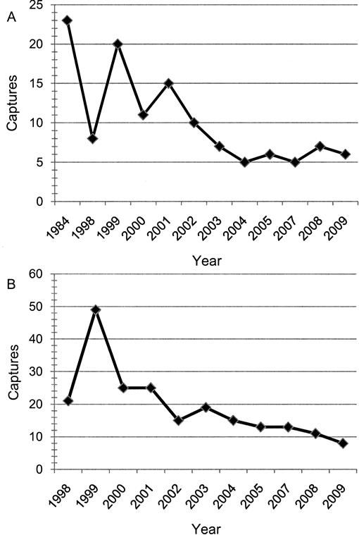 Population Status of the Eastern Hellbender (Cryptobranchus ...