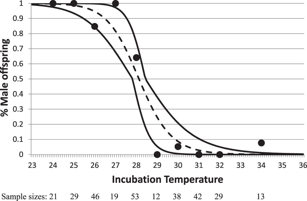 Temperature Dependent Sex Determination In The Diamond Backed Terrapin Malaclemys Terrapin 8549