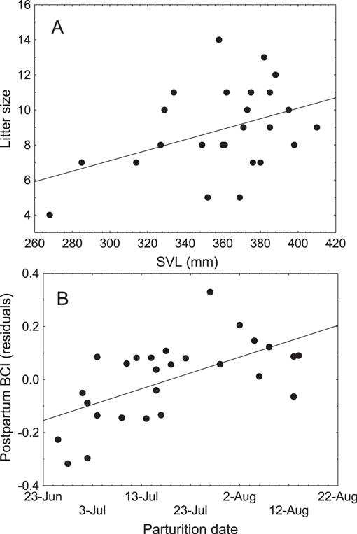 Female Reproduction in Thamnophis scaliger: The Significance of Parturition  Timing