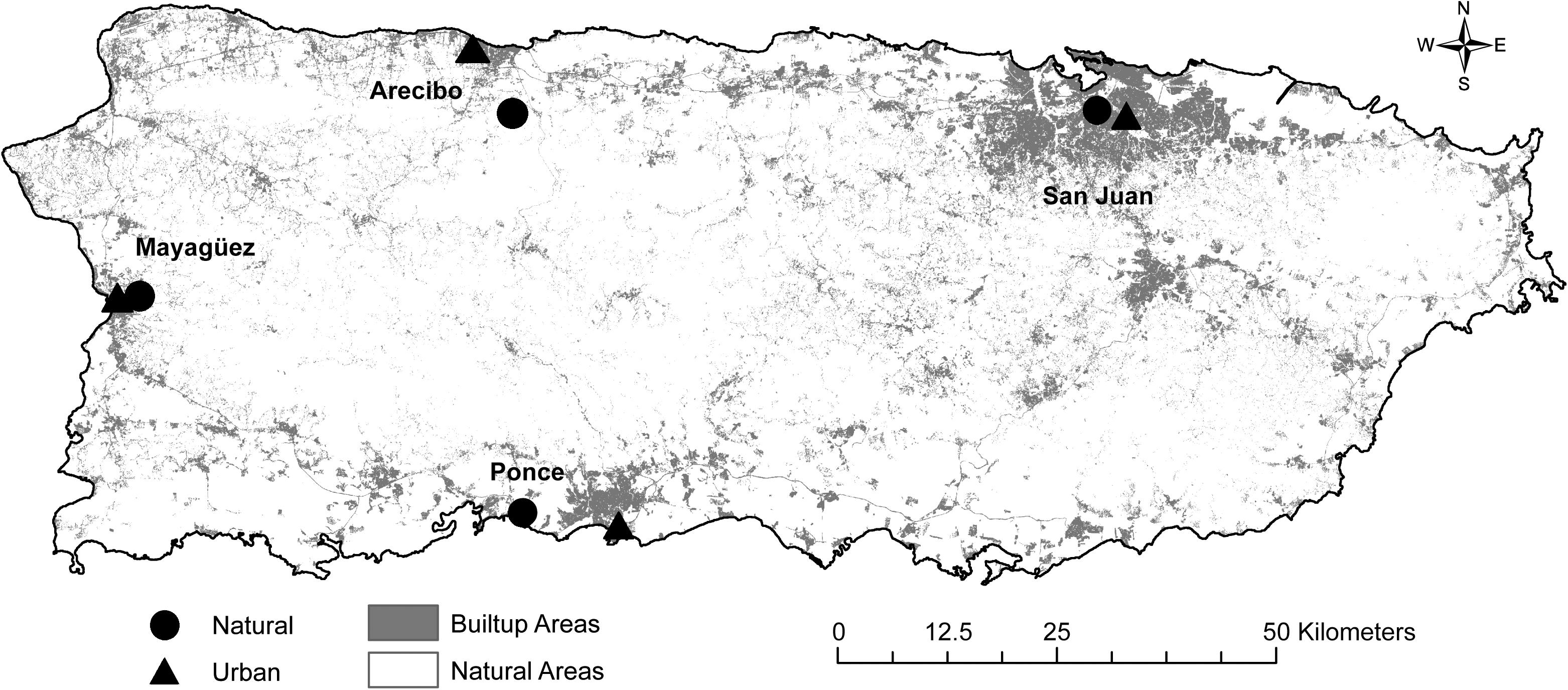 Urbanization may lead to Puerto Rican boa decline - The Wildlife