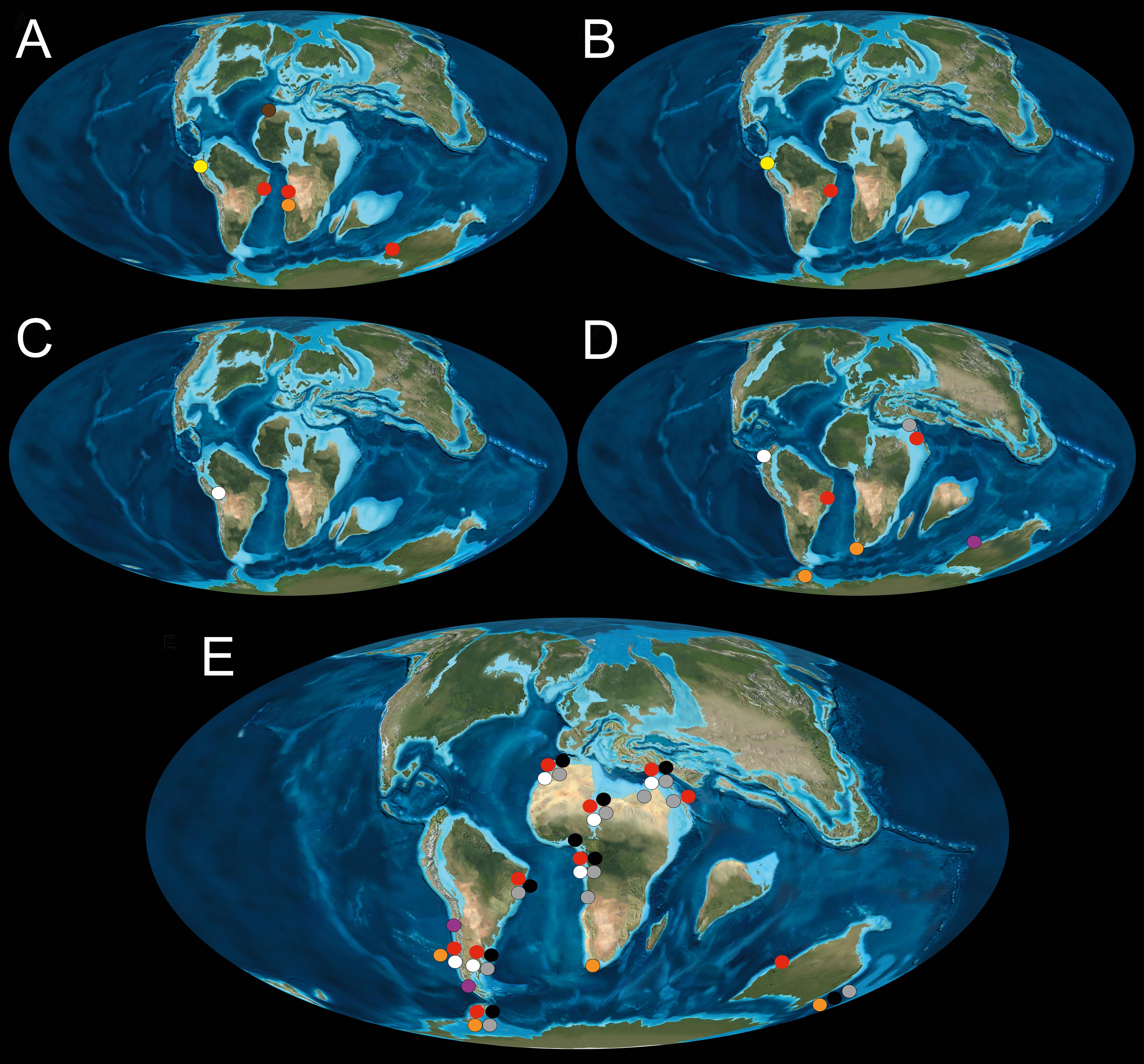 Mosasauroids from Gondwanan Continents