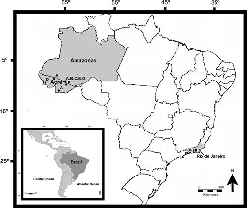 The Snake Fossil Record from Brazil