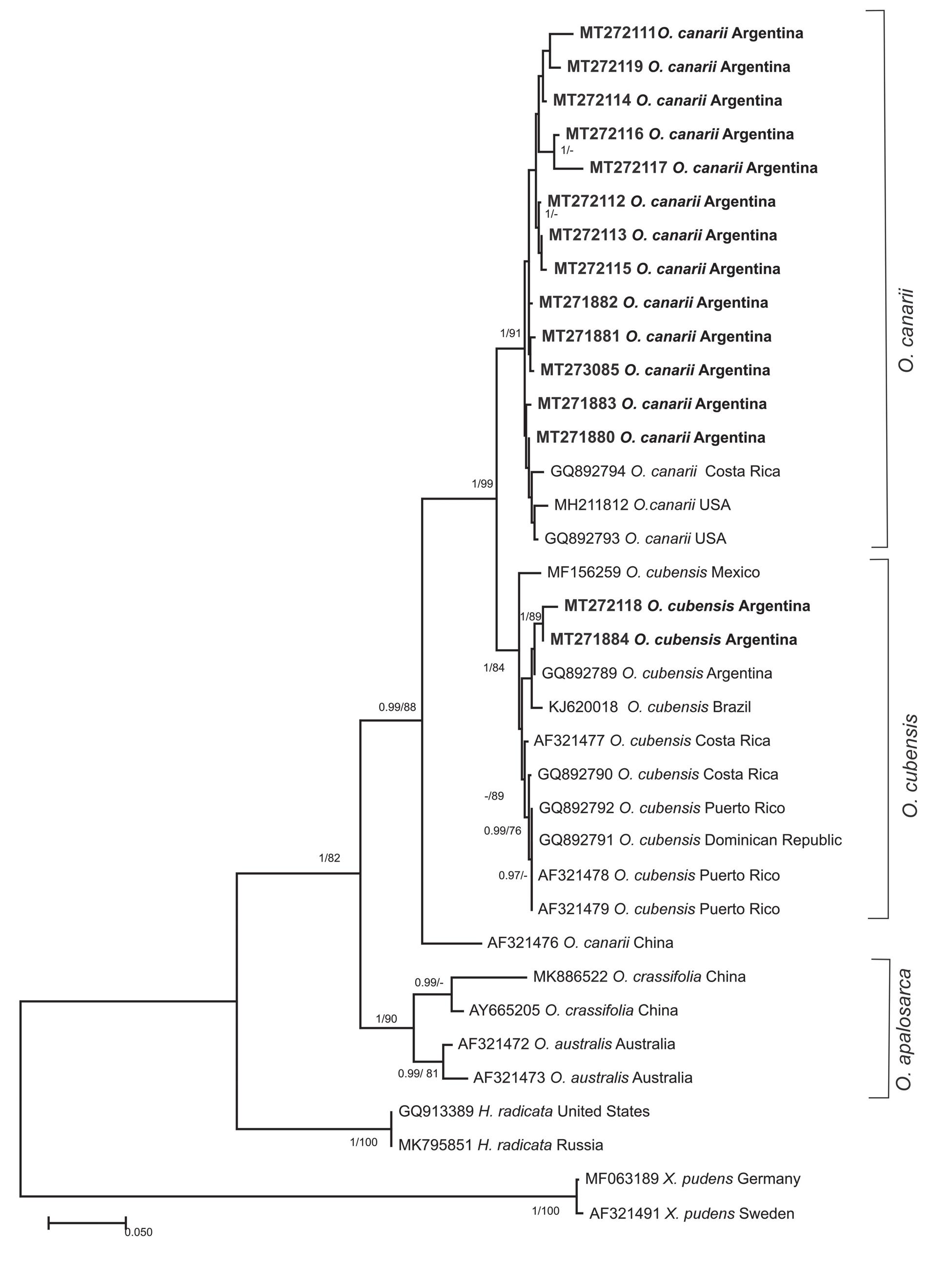 Top countries with the greatest number of reported Oudemansiella species.