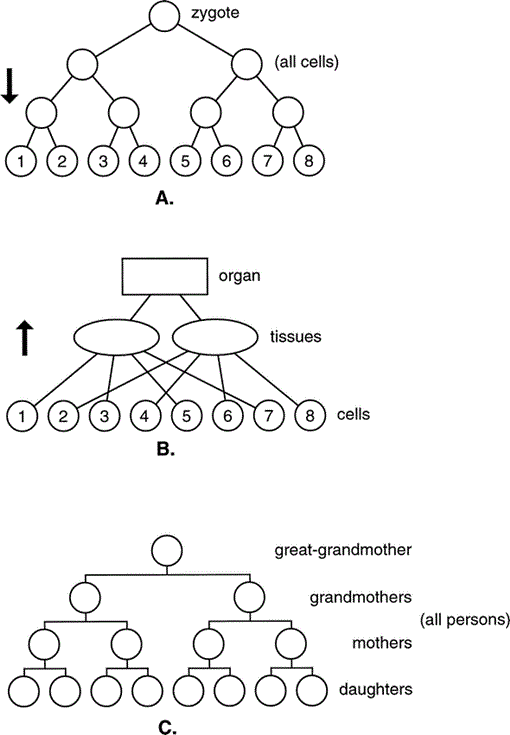 Architectures of Biological Complexity1