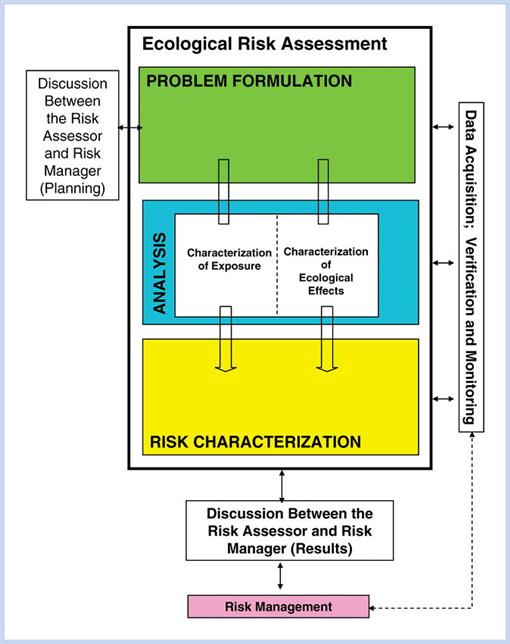 ecological risk assessment