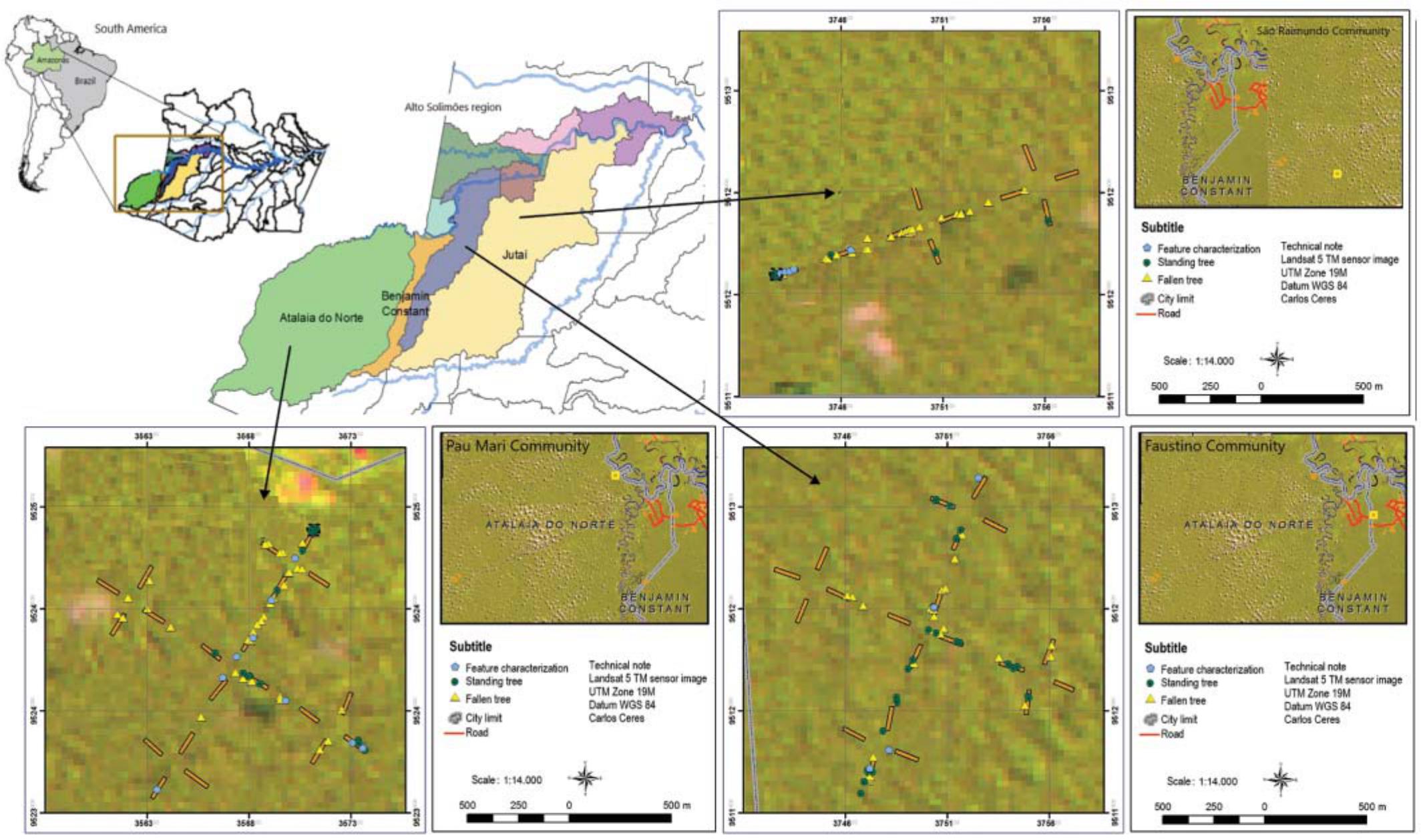 Alternative Identification of Wood from Natural Fallen Trees of the ...