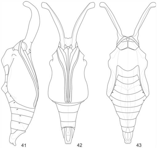 f41_01.jpg