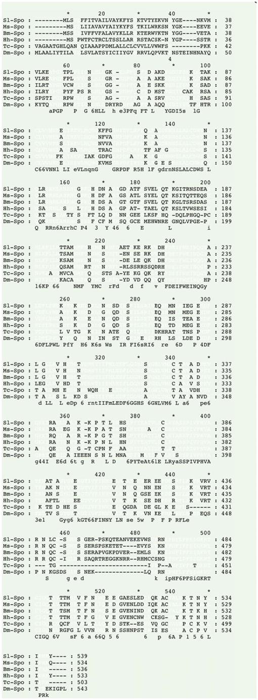 Molecular Cloning And Expression Profile Of A Halloween Gene Encoding Cyp307a1 From The Seabuckthorn Carpenterworm Holcocerus Hippophaecolus